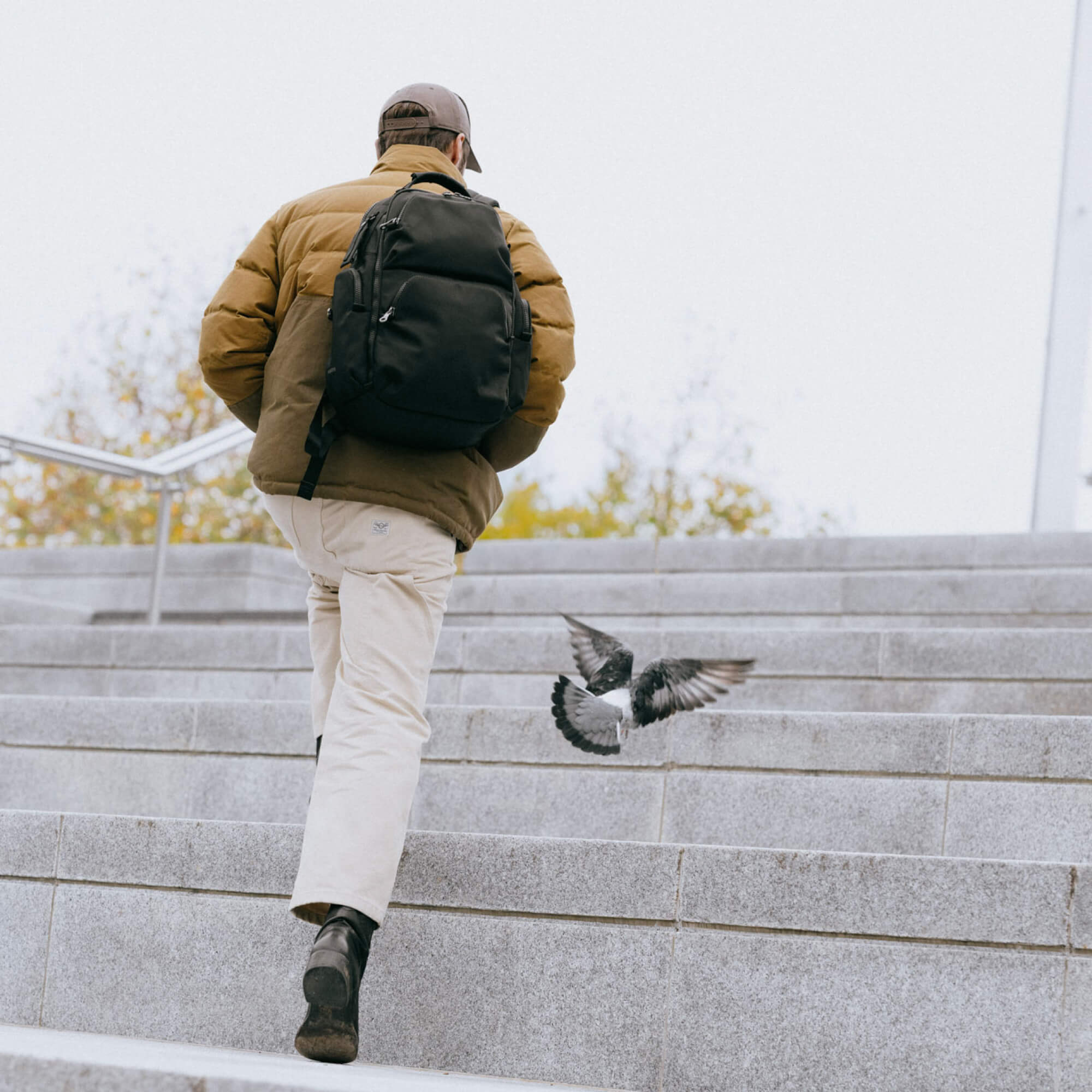 Panda Pack | Laptop Travel Backpack – PIONEER